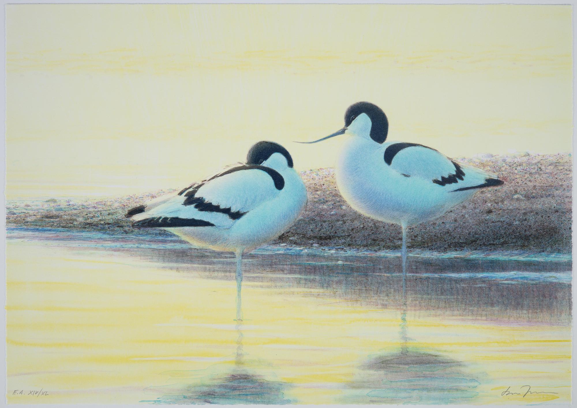 Lars Jonsson, portfolio "Strandspeglingar" with 5 lithographs in colour, signed EA XIV/XL.