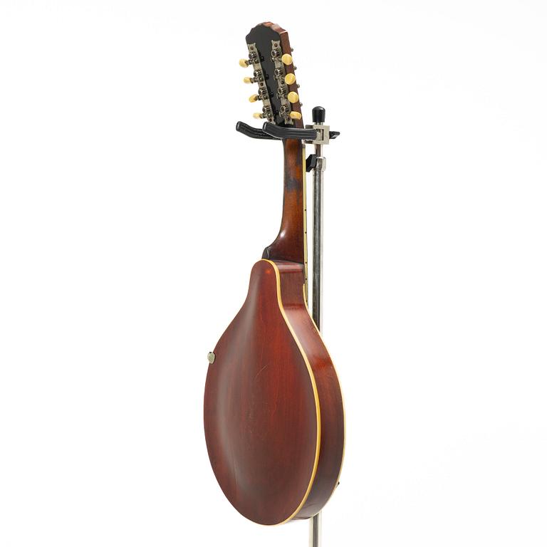 Gibson, mandolin, "A4", USA, 1918.