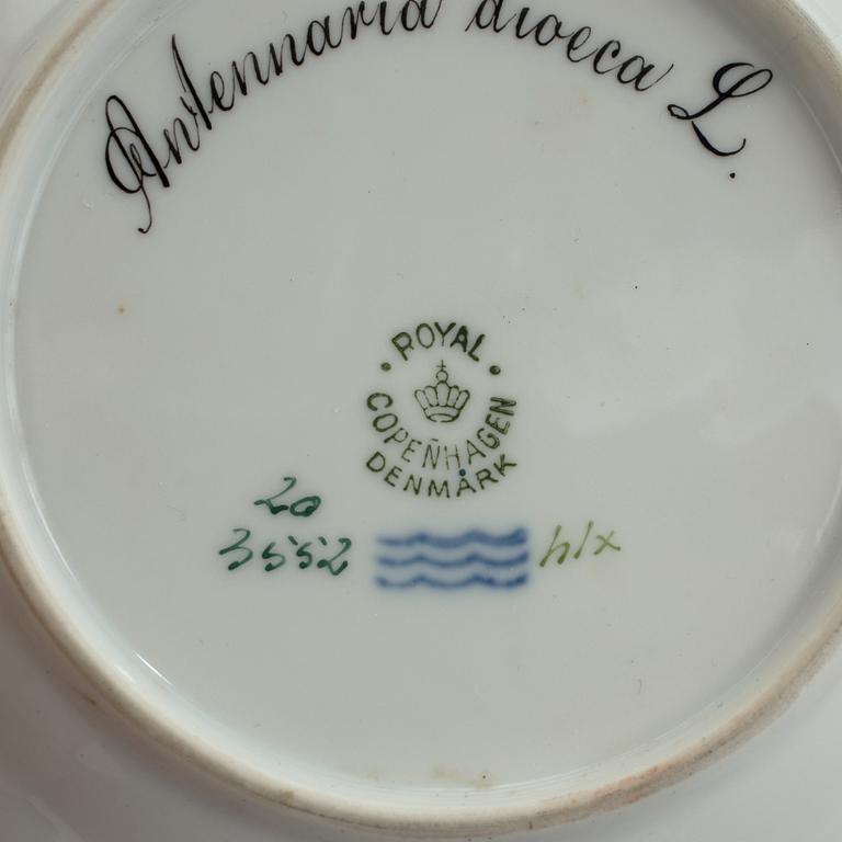 MOCCAKOPPAR MED FAT OCH ASSIETT, 3 delar, "Flora Danica", Royal Copenhagen, Danmark, 1900-tal.