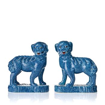 1013. A pair of robbins egg glazed buddhist lions, Qing dynasty, 19th Century.