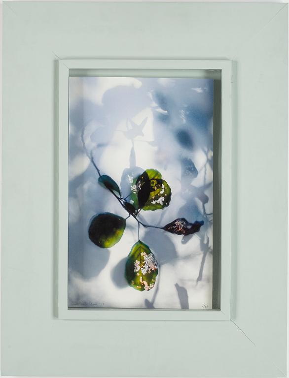 CARL-FREDRIK EKSTRÖM, pigment print, signed and dated 2013. Numbered 1/25.