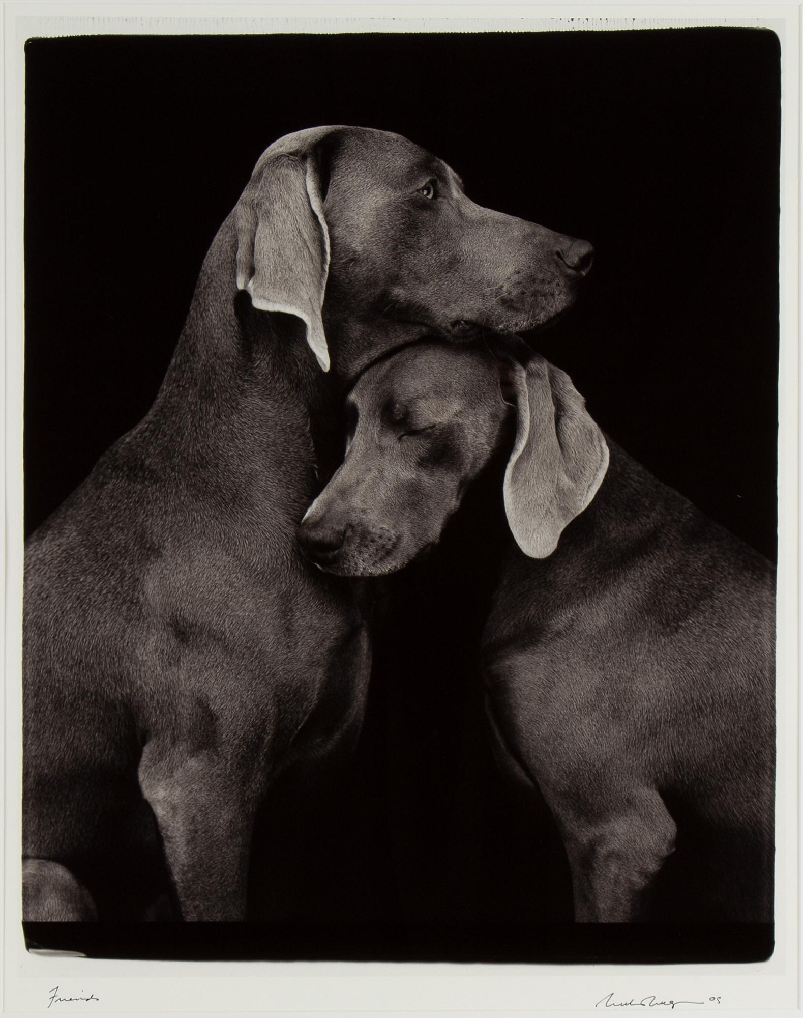 William Wegman, photograph, signed and dated -05.