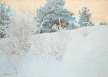 Gustaf Fjaestad, Winter landscape.