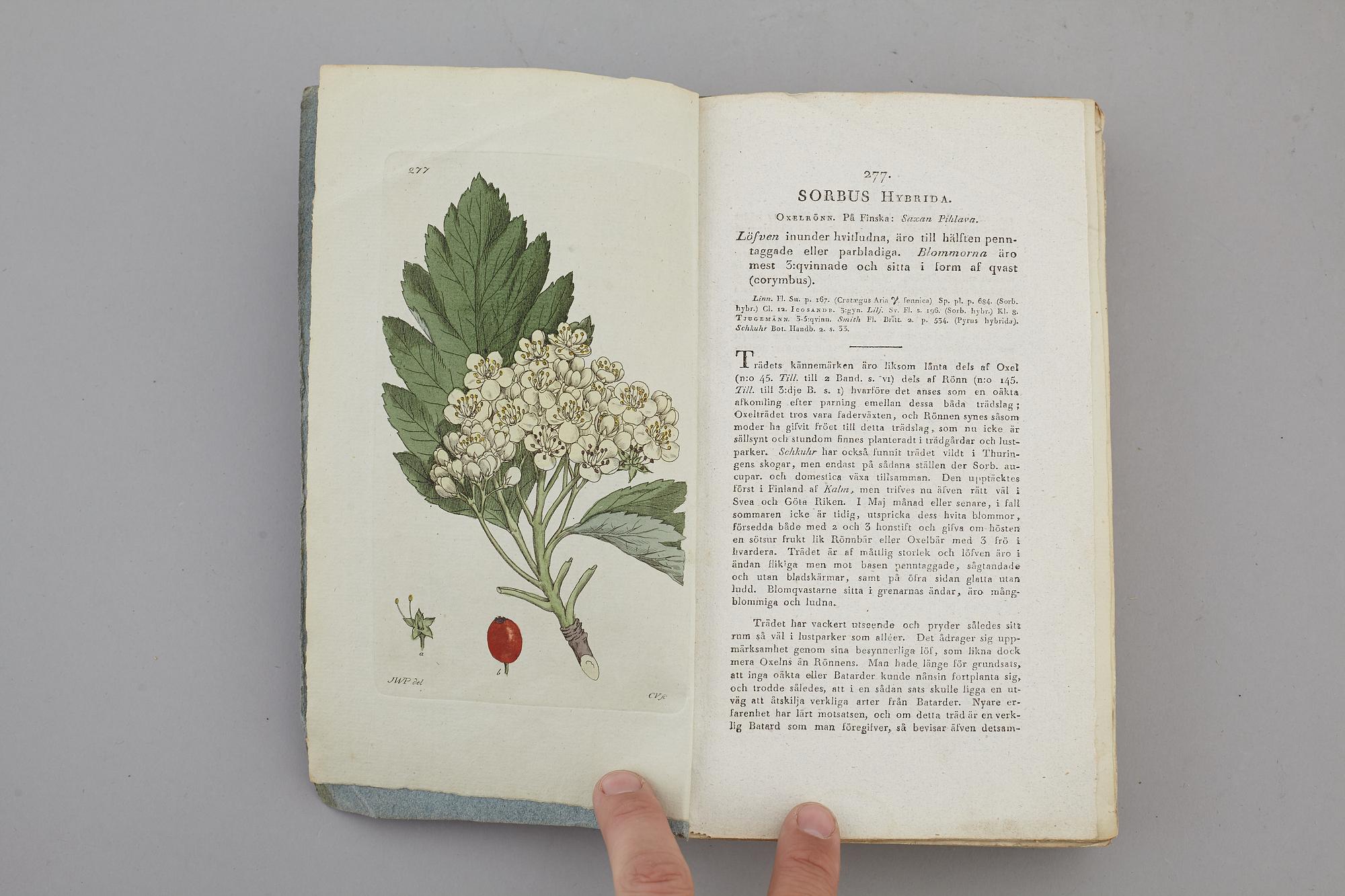 JOHAN WILHELM PALMSTRUCH, "Svensk Botanik, vol I-V. 1803-1805.