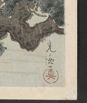 Tsuchiya Koitsu, väripuupiirros, Japani.