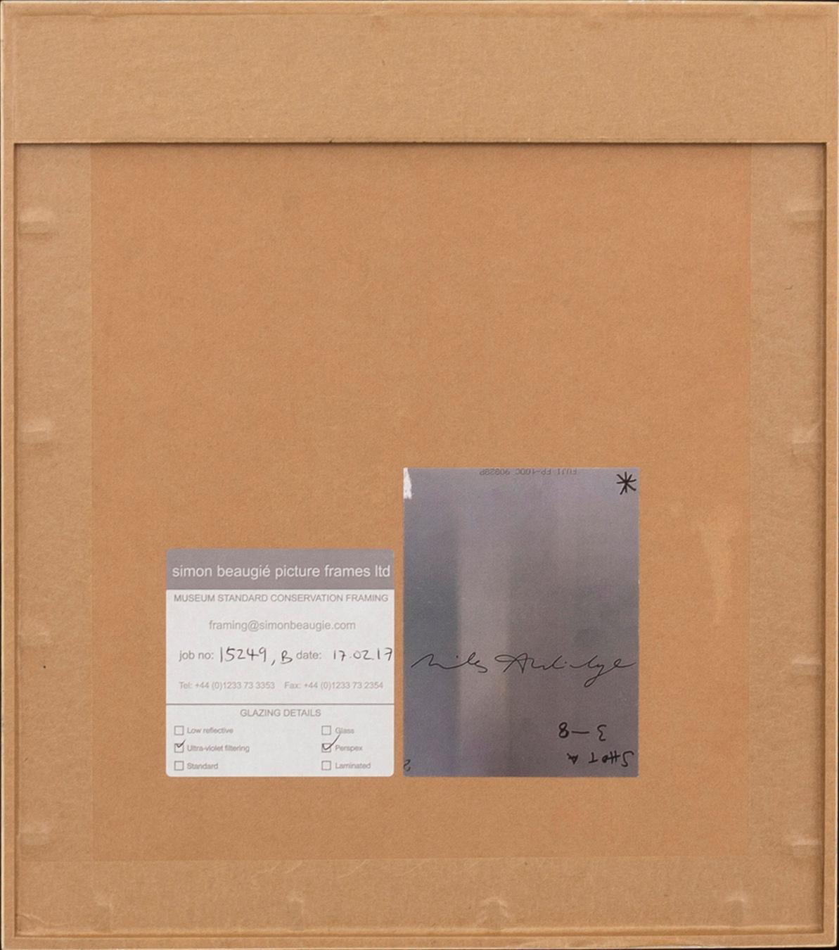 MILES ALDRIDGE, polaroid photograph, unique, signed on the reverse.
