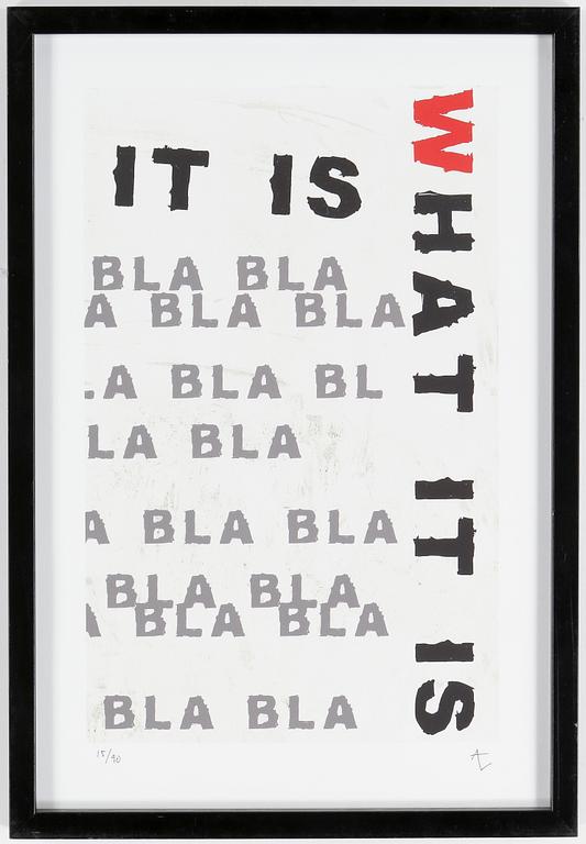 ANDREAS LUNDBERG, "What is it", pigmentprint, monogramsignerad och numrerad 15/90.