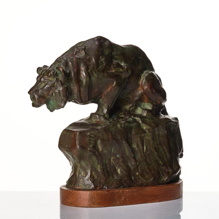 Johan Axel Wetterlund, Mountain lion.