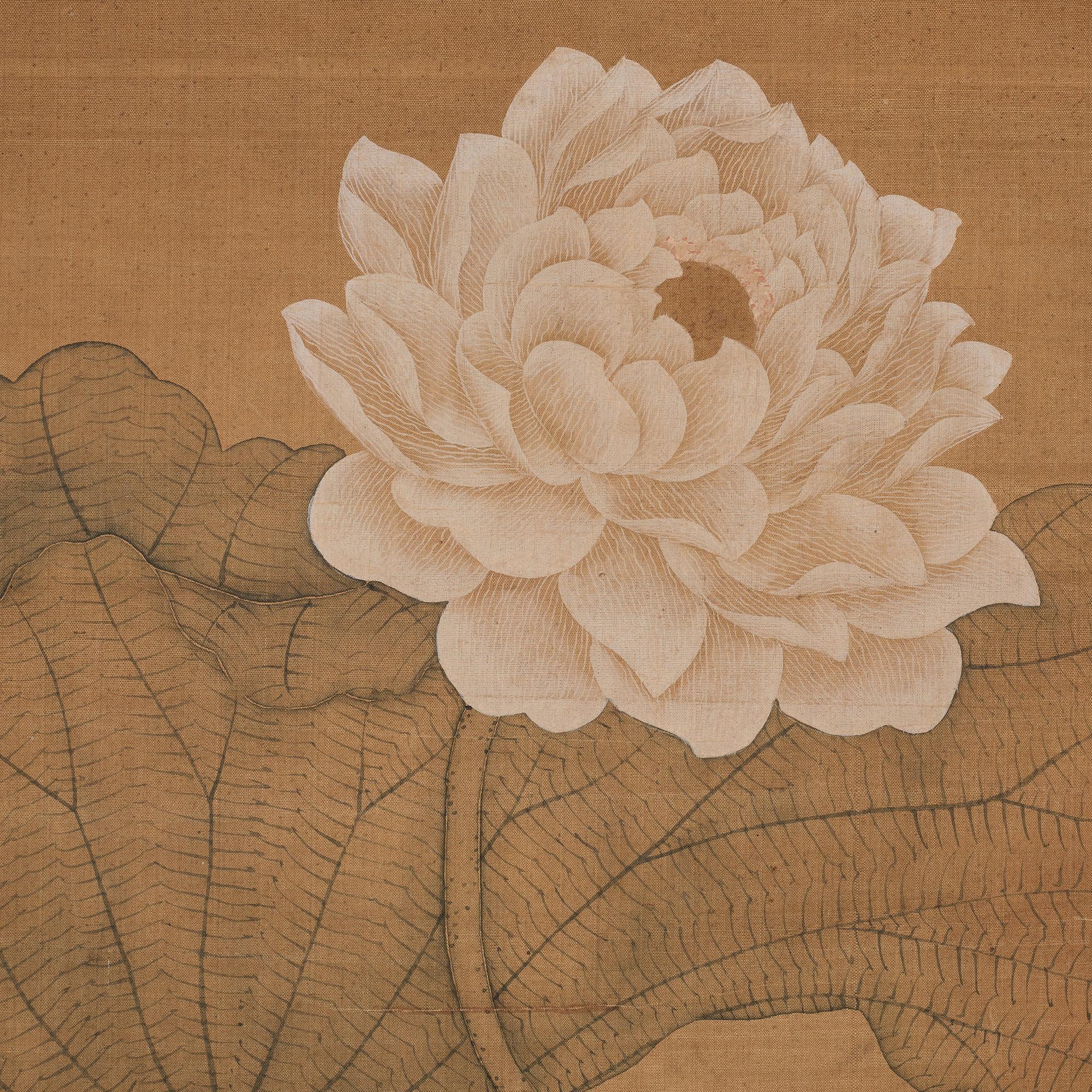MÅLNING, lotus blommor i Songstil, i Yun Shouping (1633-1690) stil, Qingdynastin (1644-1912).