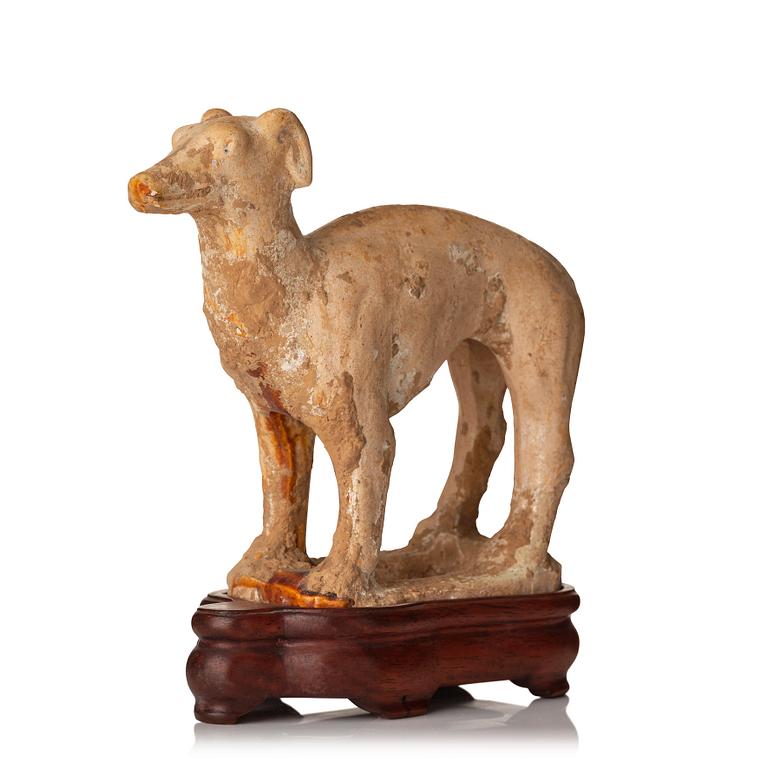 A pottery figure of a dog, Tang dynasty (618-907).