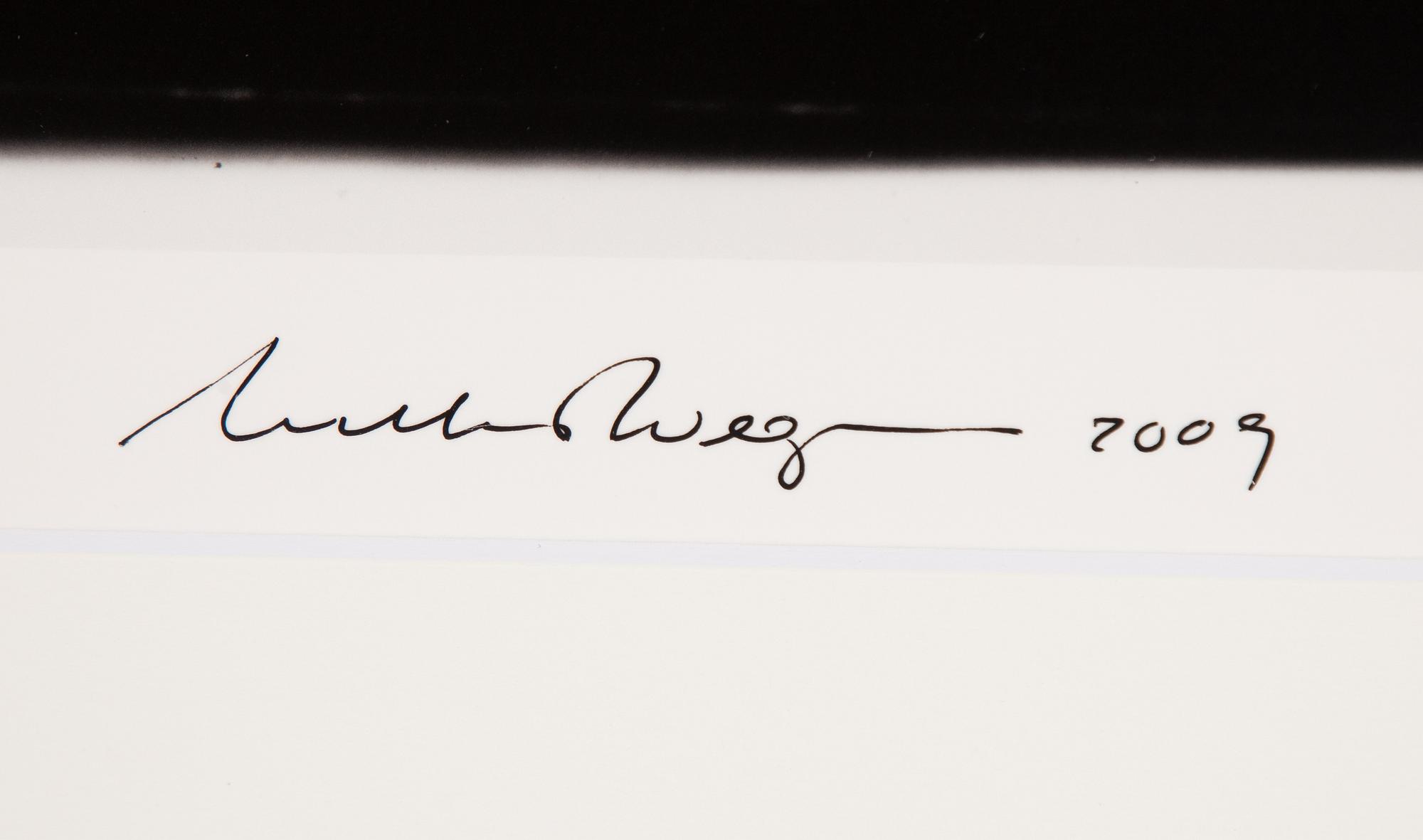 William Wegman, "Friends".
