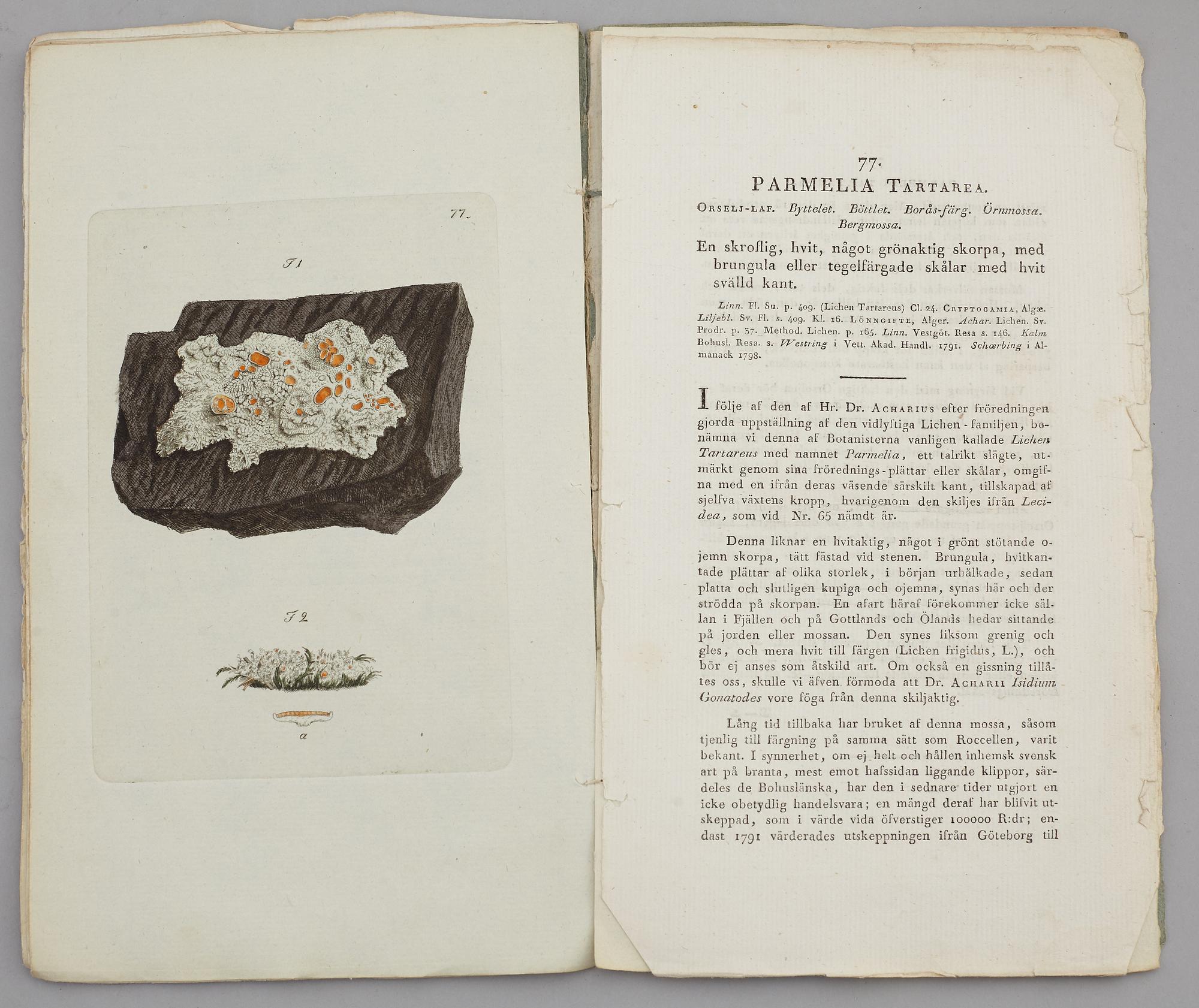 JOHAN WILHELM PALMSTRUCH, "Svensk Botanik, vol I-V. 1803-1805.