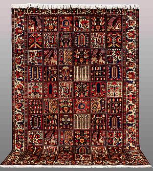 CARPET, Baktiari, ca 313 x 215 cm.