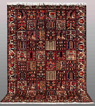 CARPET, Baktiari, ca 313 x 215 cm.