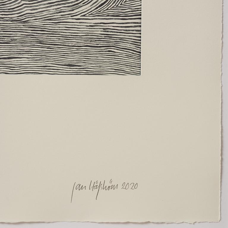 Jan Håfström, "Blue Skull".