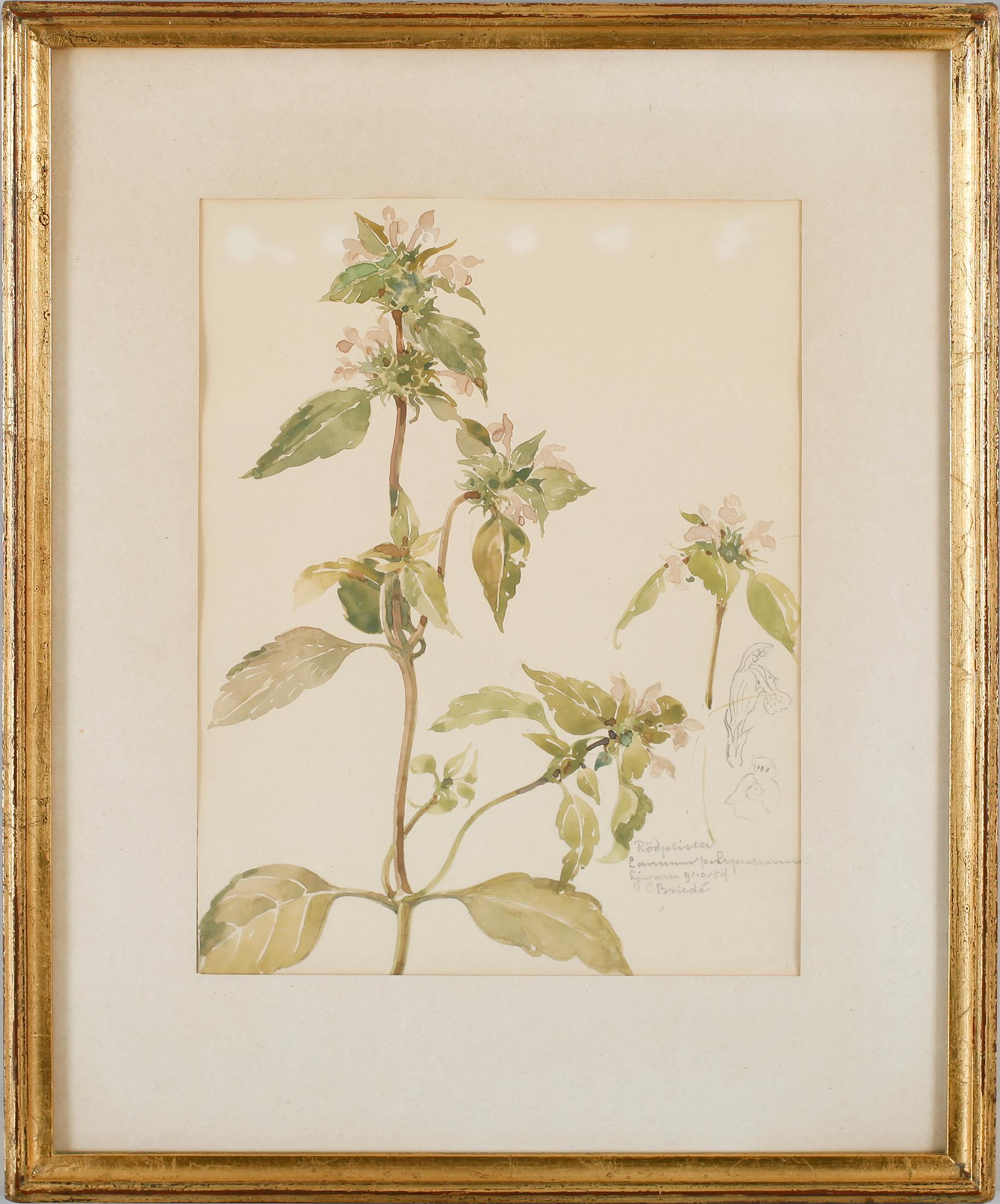 JOHAN BRIEDÉ, akvarell, sign Ljugarn 1954.