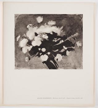 Helene Schjerfbeck After, "Helene Schjerfbeck".