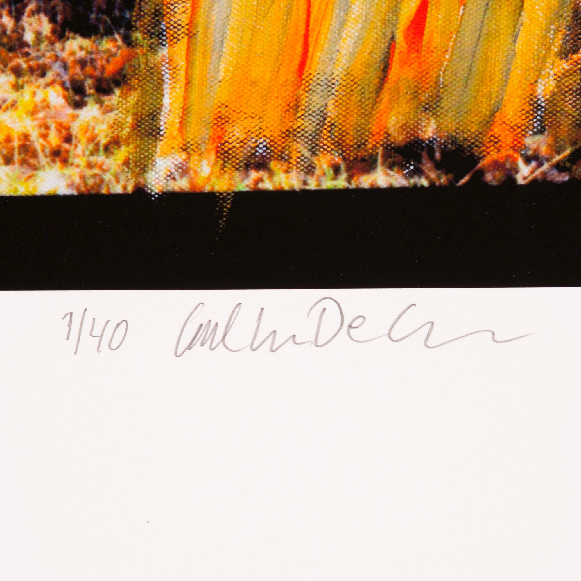 Carl Johan De Geer, "Teatern i skogen".