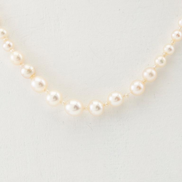 Necklace possibly cultured pearls with a clasp of 18K gold set with diamonds and a blue stone.