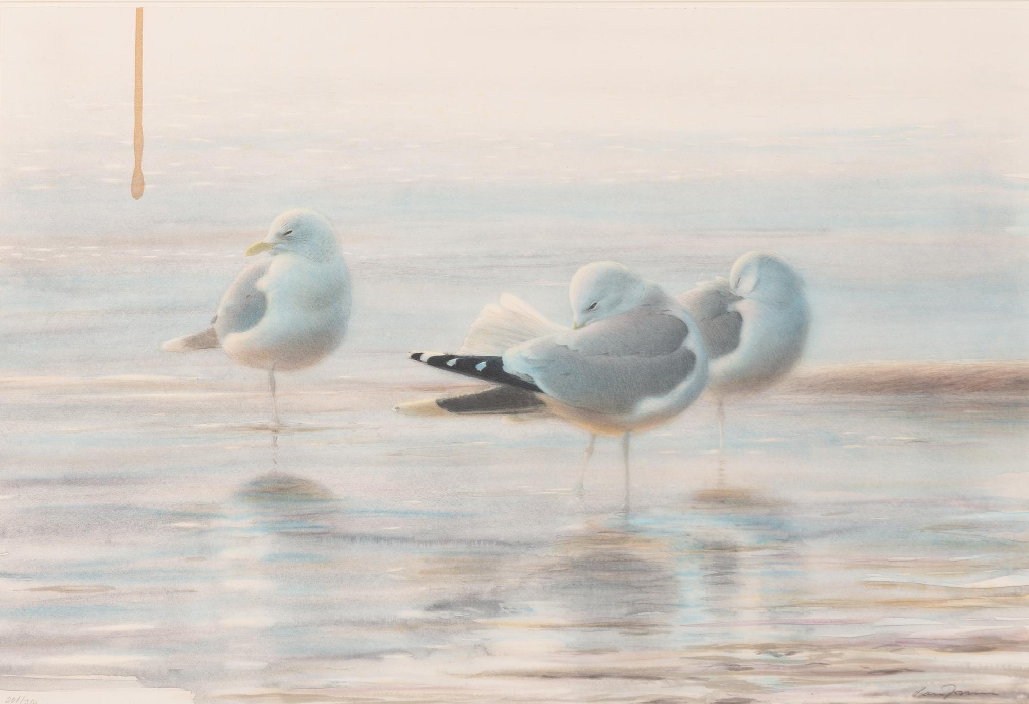 Lars Jonsson, Resting Seagulls.