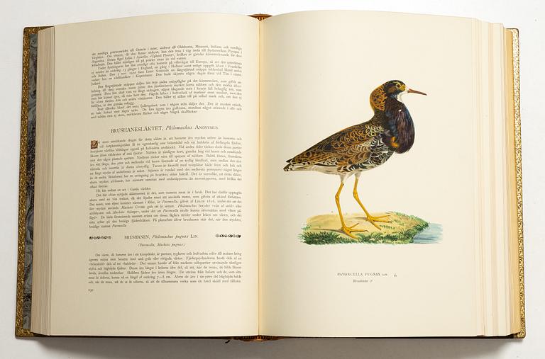 Bröderna von Wright, handkolorerade bibliofilupplagan av "Svenska fåglar", 3 band, Ivar Baarsen, Stockholm, 1925-29. Nummer 30/60.