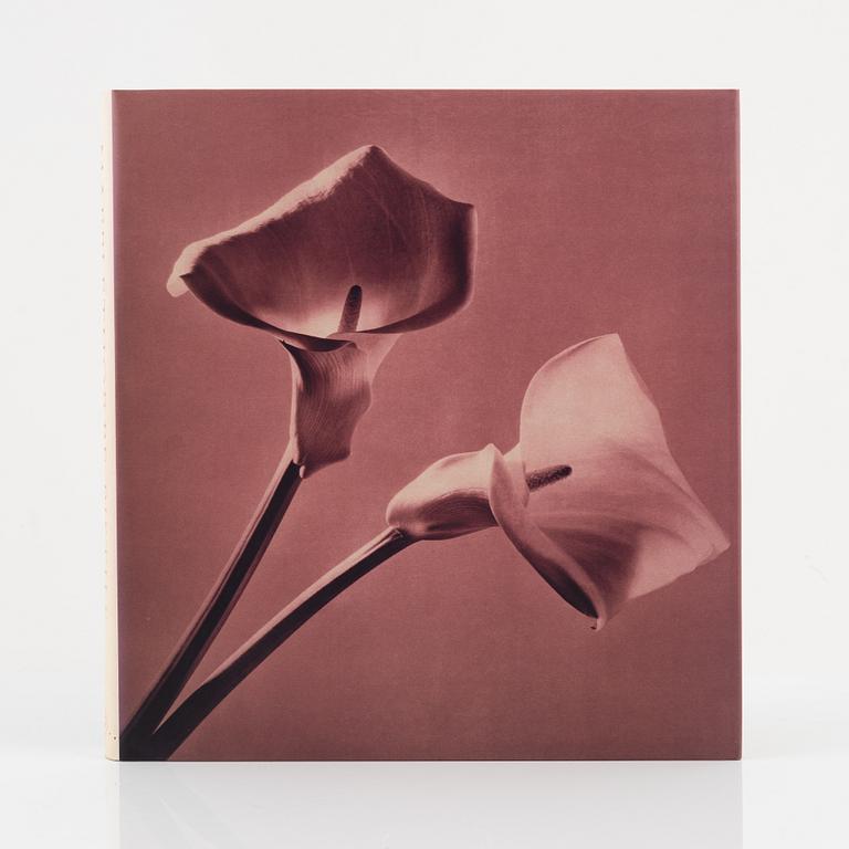 Robert Mapplethorpe, five photobooks.