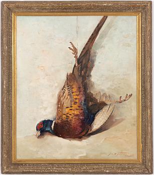 Jan Bohumil Pospisil, Pheasant.