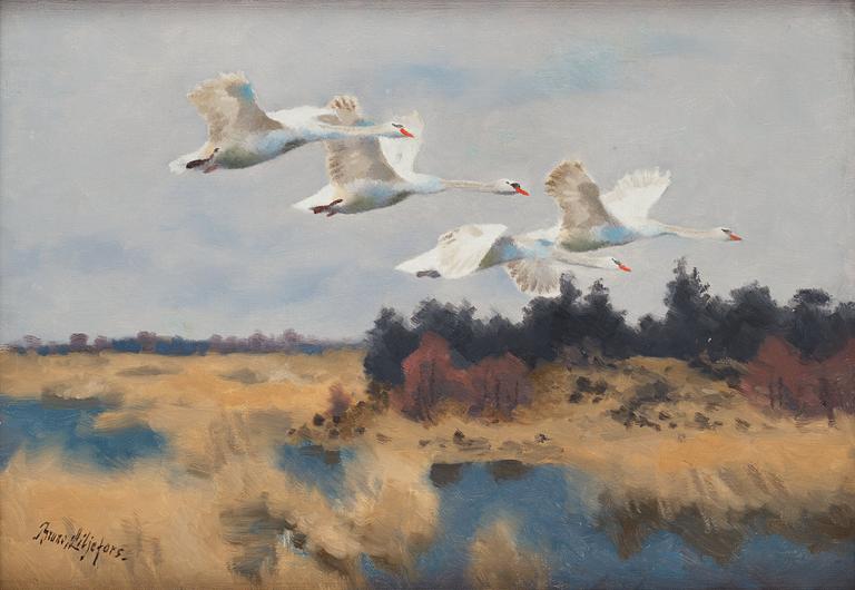 Bruno Liljefors, Swans.