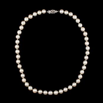 PÄRLHALSBAND, lås 14K vitguld. Pärlornas diameter ca 7,5 mm.