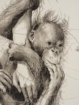 Linn Fernström, "Armen".