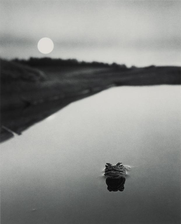 Pentti Sammallahti, Utan titel, 1974.