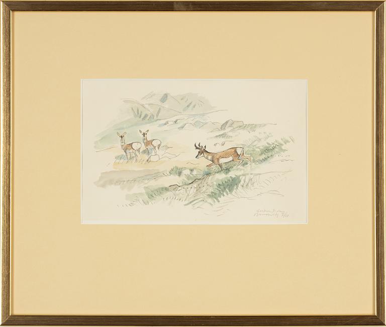 Gunnar Brusewitz, watercolout, signed and dated Gardner, Y-stone -68.
