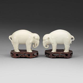 253. A pair of blanc de chine elephants, Republic.