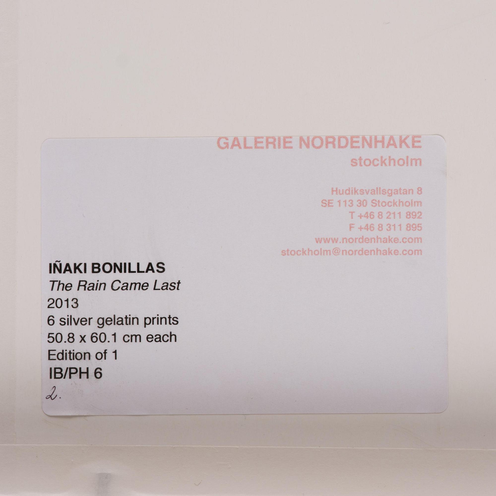 Iñaki Bonillas, "The Rain Came Last", 2013.