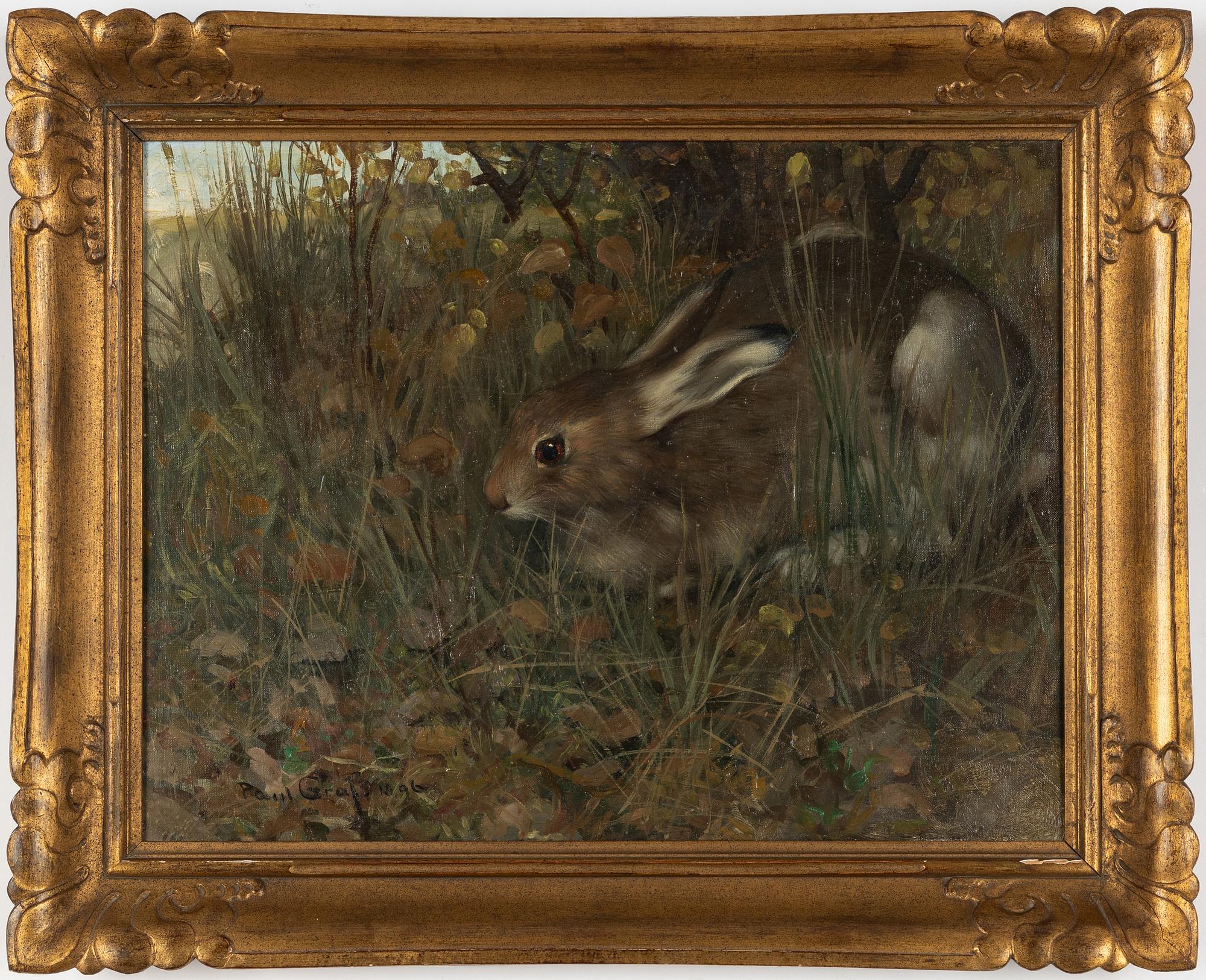Paul Graf, Hare i gräset.