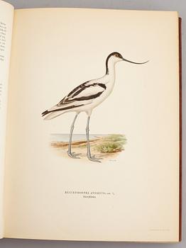 A set of three books about Swedish birds by von Wright. 1927.