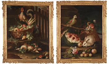 660. Fransesco Lavagna Circle of, Garden still life with birds and rabbit (2).