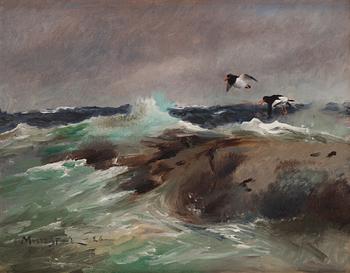 634. Mosse Stoopendaal, Oystercatchers in flight over stormy sea.