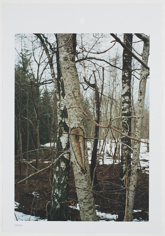 ANDREAS ERIKSSON, portfolio. Signed AE inside the box and numbered 18/250.