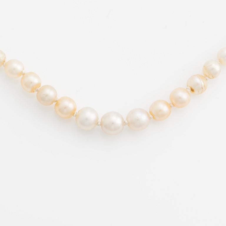 Pearl necklace, graduated pearls, with clasp featuring two old-cut diamonds and a ruby.