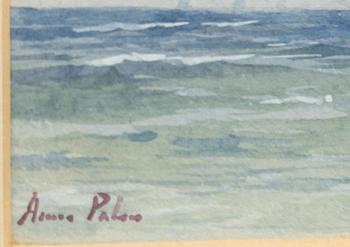 Anna Palm, Tremastad ångfartyg.