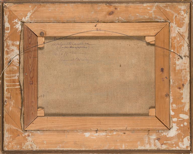 Jalmari Ruokokoski, Talvimaisema.