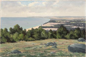 Lolle Jungberg, "View from Stenshuvud".