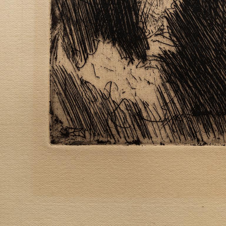 ANDERS ZORN, etching, 1904, I state of I, signed with pencil.