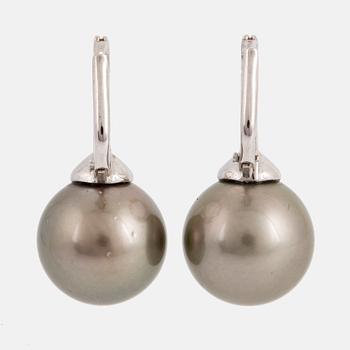 Cultured Tahiti pearl and diamond earrings.