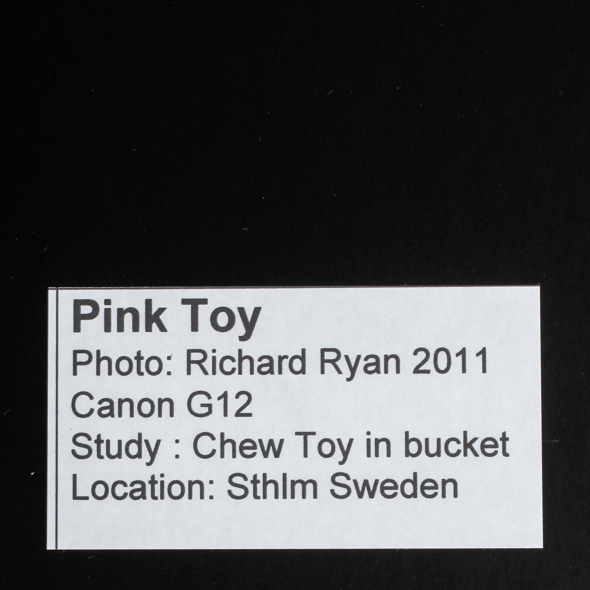 RICHARD RYAN, "Pink toy", signerat fotografi, Notes nr 0082, ur serien "Notes by Ryan". 2011.