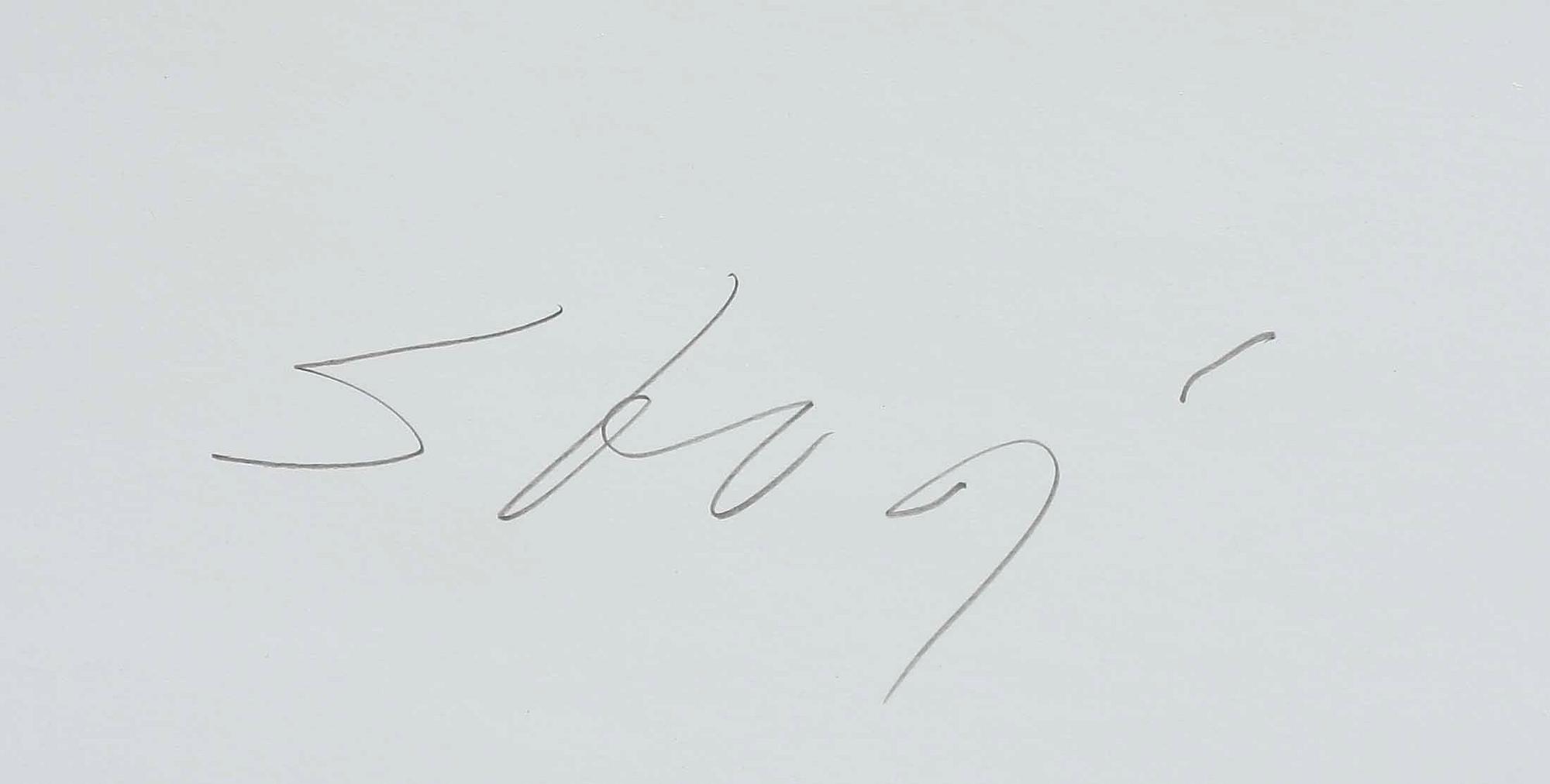 STURE JOHANNESSON, efter, affisch, Museu d'Art Contemporani de Barcelona, sign.