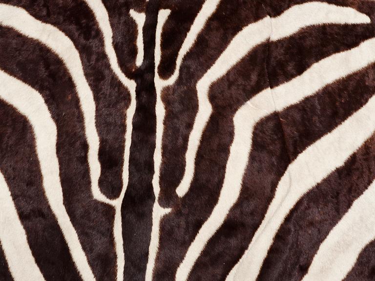 ZEBRASKINN.