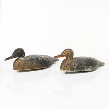 A pair of wood duck decoys, 20th century.