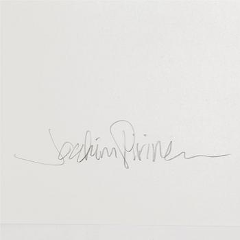 JOAKIM PIRINEN, pigment print, signerat. Ed 11/100.